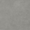 Матовый Delfone Plain Dc6S230Bc Cement Light-Grey 120х270