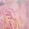 Бордюр Дельта Керамика Bouquet B200D177 4,5x20