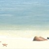 Декор Дельта Керамика Mauritius D6D138 20x30