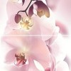Панно Orchid 20x30 Дельта Керамика Orchid P2D135 (из 2-х пл.) 20x60