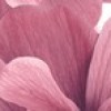 Бордюр Pastel 20x30 Дельта Керамика Pastel B300-1D124 4,5x30