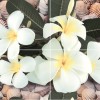 Панно Дельта Керамика Seashore P4D173 (из 4-х пл.) 40x60