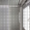 Зеркальная мозаика Мозаика зеркальная Серебро С25 ДСТ 25 х 25/300 x 300 мм (10шт) - 0,9
