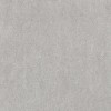Enping Jingye Керамогранит Basaltina FBA60X605D Серый Матовый Rect 60x60