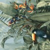 Матовый Ergon Pigmento Carioca A 120х278