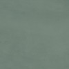 Матовый Ergon Pigmento Verde Salvia 120х278