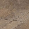 Global Tile Керамогранит Bersa Коричневый 60x120 Полированный — фото 9