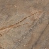 Global Tile Керамогранит Bersa Коричневый 60x60 Полированный — фото 5
