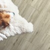 Фото в интерьере Global Tile Джизак