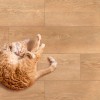 Фото в интерьере Global Tile Kronborg