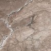 Global Tile Плитка настенная Sonesta Коричневая 25х50 — фото 6