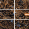 Полированный Gravita Livid Multi 60x120 — фото 2