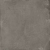 Матовый Harmony Керамогранит 40456 Pangea Chocolate 22,3х22,3