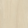 Матовый Janye Slab Slab Керамогранит Italy Travertine White 3 mm Texture 100х300