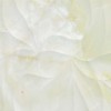 Настенная Kerasol Opalo Leaves Marfil Rectificado 30х60