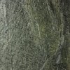 Настенная L antic Colonial L Antic Colonial Slate Камень Delhi Natural Home BPT 30x60