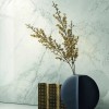 Лаппатированный La Faenza Керамогранит Aesthetica Ae ORO6 12 LP 60х120 — фото 2