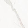 Матовый Living Ceramics Blanc Calacatta Gold Soft 120x120 — фото 12