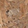 Полированный Maimoon High Glossy BRECCIA FANTASTICO BROWN 80х160 — фото 2