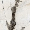 Полированный Maimoon ROYAL BLACK HIGH GLOSSY 60х120 — фото 2