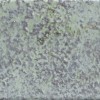 Настенная Mainzu Bellagio Aquamarine 10x30 — фото 2