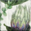 Декор Mainzu Cinque Terre Decor Protea 20x20 — фото 4