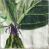 Декор Mainzu Cinque Terre Decor Protea 20x20 — фото 10