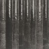 Настенная Mainzu Etna Nero 15x30 — фото 2