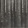 Настенная Mainzu Etna Nero 15x30 — фото 6