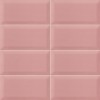 Настенная Mainzu Plus Bissel Pink 10x20