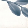 Декор Marazzi Italy M9JA Rice Bianco Decoro Blossom Lux 15х15 — фото 5