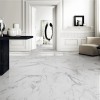 Полированный Marble Mosaic Керамогранит Statuario Bianco Pol 60х60 — фото 6