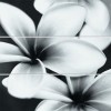 Панно Meissen Keramik Mei Pret a Porter Universal Glass Flowers 75x75