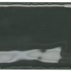Настенная Керамогранит Monopole Артисан / Artisan Green Bottle 5х15