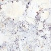 Структурированный Керамогранит Museum 40736 Artic White ST M-84 100х180