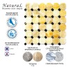 Каменная Natural Mosaic Octagon-1 Мозаика Оникс+Мрамор полированная M073+M076-BP чип 50x50+15x15 — фото 10