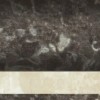 Бордюр Navarti 00-00002900 Moldura Siena Crema / Noce 4х25