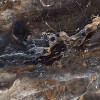 Напольная Neodom Ambassador Lawa Nero Polished 60x120 — фото 10