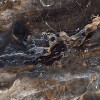Полированный Neodom Massimo Lawa Nero Polished 80x160 — фото 11