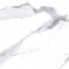 Полированный Neodom Supreme Calacatta Classico Polished 60x120 — фото 3