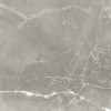 Полированный Neodom Supreme Fior di Bosco Polished 60x120 — фото 8