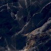 Полированный Neodom Titanium 120x280 Black Paradise Polished 120x280 — фото 3