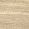 New Trend Керамогранит GP1560TAN01 Tanzania Crema матовый 151х602 — фото 5