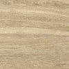 New Trend Керамогранит GP1560TAN11 Tanzania Beige матовый 151х602 — фото 5