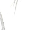NT Ceramic Керамогранит Marmo Maritaca Statuario Ultra White матовый 60х120 — фото 9