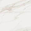 Полированный Керамогранит Pamesa Ceramica At. Palma Blanco 60х120