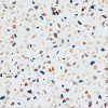 Матовый Pamesa Doria Multi Rect 60x60 — фото 11