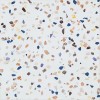 Матовый Pamesa Doria Multi Rect 60x60 — фото 7