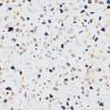 Матовый Pamesa Doria Multi Rect 60x60 — фото 10