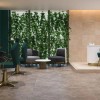 Фото в интерьере Paradyz Ibis